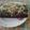 Cooksnap dari Aldila Gusti untuk resep Brownies kukus chocolatos