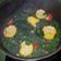 Cooksnap dari Khaleesi untuk resep Sayur bening