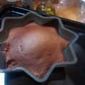 tubgidhck's cooksnap of when they made Easy Chocolate Sponge Cake.