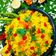 hetal shah's cooksnap of when they made બટાકા પૌવા (Batata poha recipe in Gujarati).