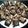 Cooksnap dari TinTanz Kitchen (Agustin_Tan) untuk resep Eggless brownies