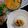 Mitali Partha Ghosh's cooksnap of when they made ইলিশ ভাপে(Ilish bhape recipe in Bengali).