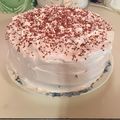 Rebecca Hammock's cooksnap of when they made Snowball cake.