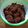 Cooksnap dari zulfachan416 untuk resep Srundeng daging sapi mbah riboet