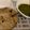 Amita Rajani's cooksnap of when they made ઘુટો (Ghunto Recipe In Gujarati).