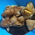 Cooksnap dari Rety Rahmawati untuk resep Pempek DOS (Tanpa Ikan)