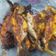 Cooksnap dari MommyElya untuk resep Ikan Bakar Padang