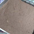 El cooksnap de Marina Pistola cuando hizo Brownie de porotos negros y avena.