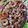 El cooksnap de Gema cuando hizo Rosquillas de anís.