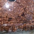 Cooksnap dari Rabiatul Adawiah Amin untuk resep Kue beng beng kacang cokelat
