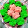 Cooksnap dari Ferasty untuk resep Kue mangkok mekar dan lembut/ apem tepung beras (pake tape)