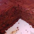 El cooksnap de Lula 🌈 ❤👪 cuando hizo Torta de chocolate y remolacha.