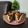 Cooksnap dari Marsha Yoo untuk resep Zebra Cake Marmer Putih Telur