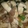 Cooksnap dari LinaaliQa untuk resep Tumis tahu putih daging sapi