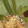 Cooksnap dari Ummi Al_Iya untuk resep Seblak kuetiaw
