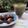 Cooksnap dari NayNay untuk resep Hot Cinnamon Matcha Latte