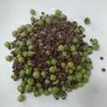 El cooksnap de cadollop cuando hizo Lentejas caviar con guisantes.