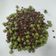El cooksnap de cadollop cuando hizo Lentejas caviar con guisantes.