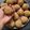 Krisha Jain का कुकस्नैप जब उन्होंने आटे के लड्डू (Aate ke laddu recipe in hindi) बनाया था।
