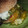 El cooksnap de NeKa 8+1 cuando hizo Hamburguesa de espinacas.