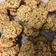 El cooksnap de Ruth Valderrama cuando hizo Galletas de avena.