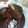El cooksnap de Noemi Pisco cuando hizo Torta húmeda de chocolate.