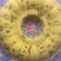Cooksnap dari Ida Yasa untuk resep Bolu dalmation