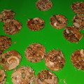 Cooksnap dari sofi ana untuk resep Florentine cookies