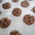 Cooksnap dari Fitria untuk resep Chocochips Cookies Teflon