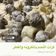 صورة من -Hamza Al Tayyar، شاركها بعد تجربة وصفة مكرونه بالتونه دايت