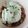 Stephanie Holdstock's cooksnap of when they made Caramelized Banana top with Icecream by Pam....
