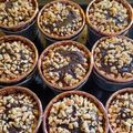 Cooksnap dari Arum Puspitasari untuk resep Brownies panggang shiny crust