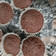 El cooksnap de Stella Maidana cuando hizo Muffins de chocolate súper fácil.