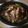 Cooksnap από Βασιλική Δουβλέτογλου στη συνταγή Αρνάκι στο φούρνο με πατατούλες