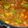 Angela Mertoyono's cooksnap of when they made Grated apple dry-curry.
