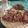 Sana Fatima's cooksnap of when they made Marble cake.