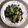 Cooksnap dari Era Antie untuk resep Tumis simpel soun jamur kuping