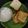 Ananthi @ Crazy Cookie's cooksnap of when they made பிரட்&தேங்காய்பால்(bread with coconut milk recipe in tamil).