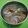 Cooksnap dari Lies Nur Oktariani untuk resep Sop kaki sapi