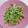 Fionn Lin 的 芹菜炒甜不辣 / 家常菜 cooksnap