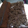 Cooksnap dari wati untuk resep Brownies Kukus (Amanda KW)