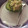 El cooksnap de Rosy Castellanos cuando hizo Aguacates rellenos de atún y algo más.