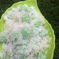 Cooksnap dari Aisyah Rachmadani untuk resep Klepon Tepung Ketan Kenyal No Kapur Sirih