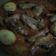 Cooksnap dari Yuni Pinasti untuk resep Gulai ayam