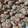 Cooksnap dari Ummi Khalsum untuk resep Rainbow Chocochips Cookies