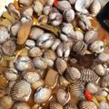 Cooksnap dari Friska Destiana untuk resep Kerang dara Bumbu Kuning