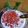 Cooksnap dari Susii Ana untuk resep Bubur Mutiara