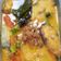 Cooksnap dari haney aretha untuk resep Ikan patin bumbu kuning