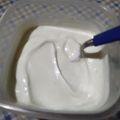 El cooksnap de Daniela Cecilia Courroux cuando hizo Mayonesa vegana saborizada 🌱.