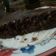 صورة من Abeer M Ahmed، شاركها بعد تجربة وصفة كيك الشوكولاته ببيضه واحده 🍰🍫